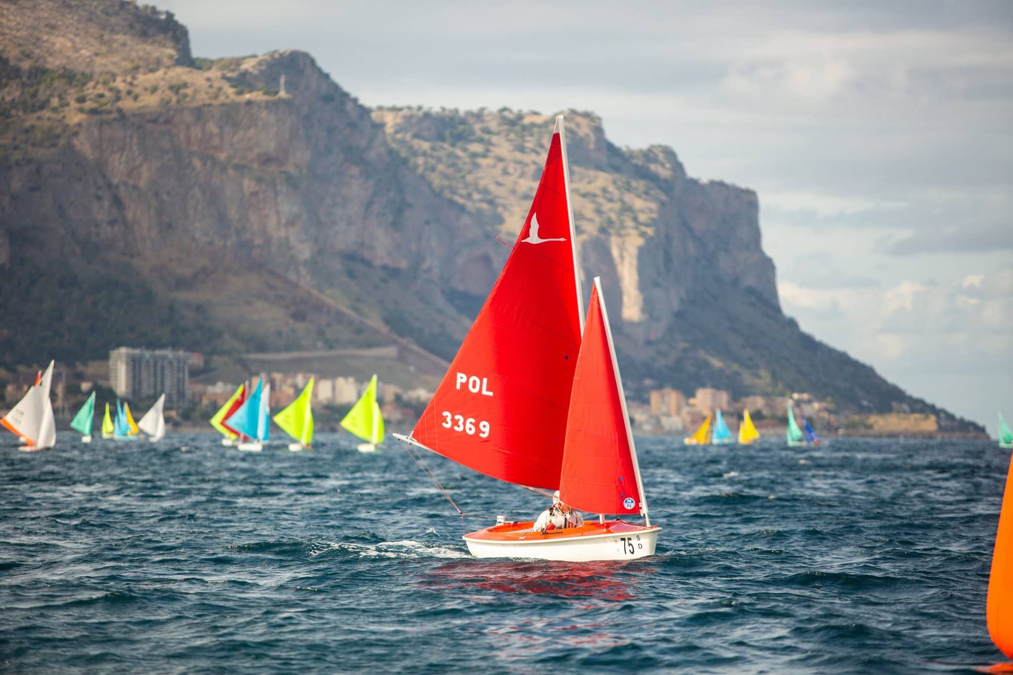 World Sailing, Violeta del Reino, Juegos Olímpicos Los Ángeles, Juegos Paralímpicos